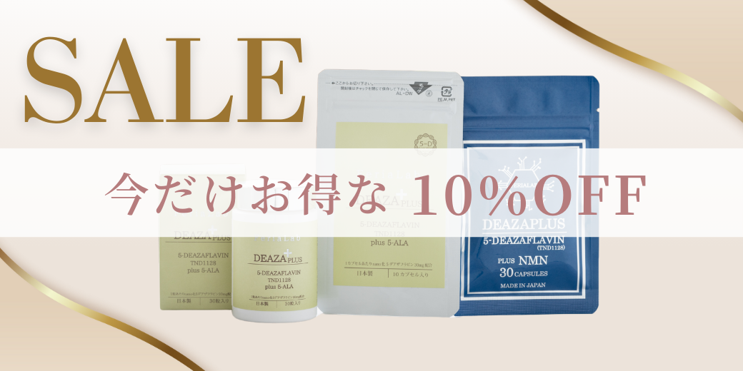 オープンSALE.png