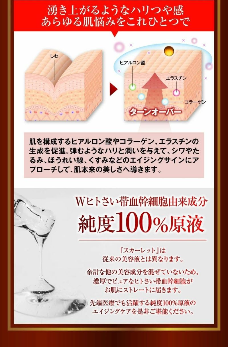 ヒト幹細胞　美容液
